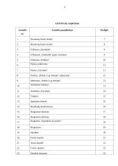 Kompiuterinės praktikos ataskaita 2 puslapis