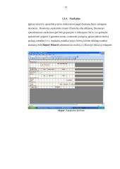 Kompiuterinės praktikos ataskaita 11 puslapis