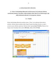 Kompiuterinės praktikos ataskaita 13 puslapis