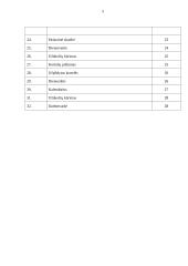 Kompiuterinės praktikos ataskaita 3 puslapis