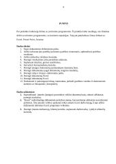 Kompiuterinės praktikos ataskaita 4 puslapis