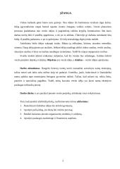 Verslo planas: modernaus namų eksterjero paslaugos UAB "Kalistra" 2 puslapis