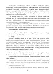 Verslo planas: modernaus namų eksterjero paslaugos UAB "Kalistra" 14 puslapis