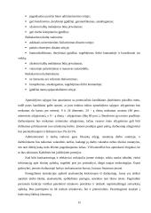 Verslo planas: modernaus namų eksterjero paslaugos UAB "Kalistra" 15 puslapis