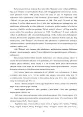 Verslo planas: modernaus namų eksterjero paslaugos UAB "Kalistra" 19 puslapis