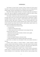 Verslo planas: modernaus namų eksterjero paslaugos UAB "Kalistra" 3 puslapis