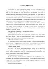 Verslo planas: modernaus namų eksterjero paslaugos UAB "Kalistra" 5 puslapis