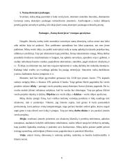 Verslo planas: modernaus namų eksterjero paslaugos UAB "Kalistra" 6 puslapis