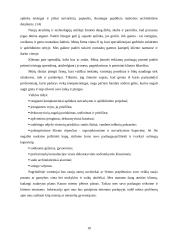 Verslo planas: modernaus namų eksterjero paslaugos UAB "Kalistra" 10 puslapis