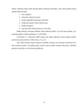 Vidaus audito tikslai kokybės atžvilgiu 13 puslapis