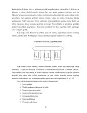 Vidaus audito tikslai kokybės atžvilgiu 10 puslapis