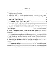 Vidaus ir išorės auditas 2 puslapis