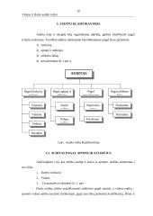 Vidaus ir išorės auditas 11 puslapis