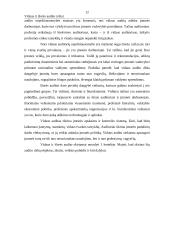 Vidaus ir išorės auditas 13 puslapis