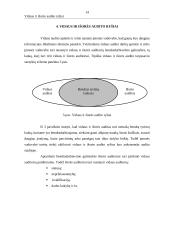 Vidaus ir išorės auditas 15 puslapis