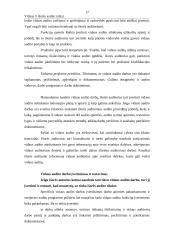 Vidaus ir išorės auditas 18 puslapis