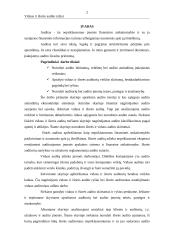 Vidaus ir išorės auditas 3 puslapis