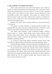 Vidaus marketingas: UAB "Egzema"