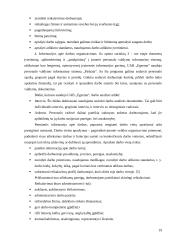 Vidaus marketingas: UAB "Egzema" 19 puslapis