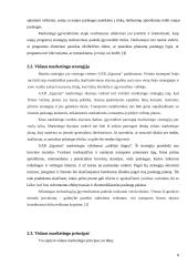 Vidaus marketingas: UAB "Egzema" 8 puslapis