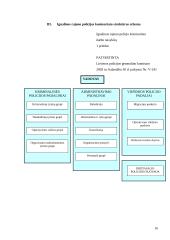 Mokomosios praktikos ataskaita: Ignalinos rajono policijos komisariatas 16 puslapis