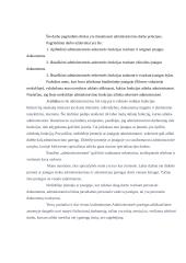 Praktikos ataskaita: administravimo darbo principai 2 puslapis