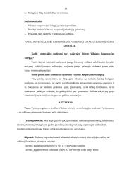 Vilniaus kooperacijos kolegijos reklaminės kampanijos organizavimas 13 puslapis