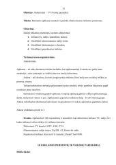 Vilniaus kooperacijos kolegijos reklaminės kampanijos organizavimas 14 puslapis