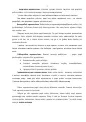 Vilniaus kooperacijos kolegijos reklaminės kampanijos organizavimas 6 puslapis