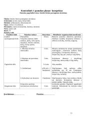 Praktikos ataskaita: Kauno aklųjų ir silpnaregių ugdymo centras (KASUC) 15 puslapis