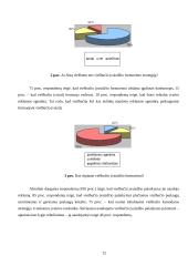 Vilniaus viešbučių įvaizdžio tyrimas 12 puslapis