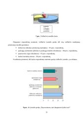 Vilniaus viešbučių įvaizdžio tyrimas 15 puslapis