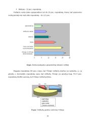 Vilniaus viešbučių įvaizdžio tyrimas 19 puslapis
