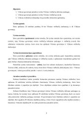 Vilniaus viešbučių įvaizdžio tyrimas 9 puslapis