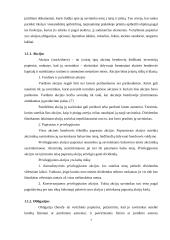 Vyriausybės vertybiniai popieriai ir jų poveikis šalies ekonomikai Lietuvoje ir kitose šalyse 7 puslapis