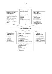 Praktikos ataskaita: UAB "Biudžeto valdymo sistemos" 13 puslapis