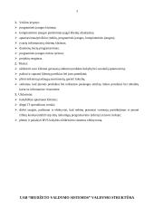 Praktikos ataskaita: UAB "Biudžeto valdymo sistemos" 3 puslapis