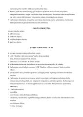 Praktikos ataskaita: UAB "Biudžeto valdymo sistemos" 5 puslapis