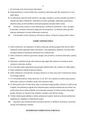 Praktikos ataskaita: UAB "Biudžeto valdymo sistemos" 6 puslapis