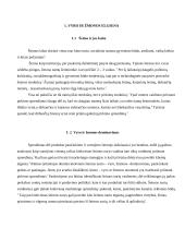 Vyro/žmonos dominavimas priimant skirtingų prekių pirkimo sprendimus 3 puslapis