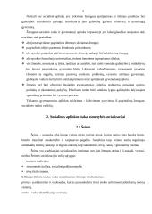 Visuomenės socializacija 3 puslapis