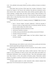 Visuomenės socializacija 4 puslapis