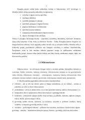 Visuomenės socializacija 5 puslapis