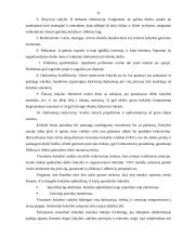 Visuotinės kokybės vadybos principų taikymas Šakių rajono savivaldybėje 11 puslapis