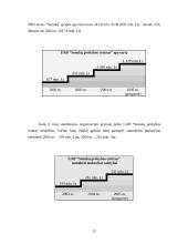 Profesinė praktika: UAB "Senukų prekybos centras" 12 puslapis
