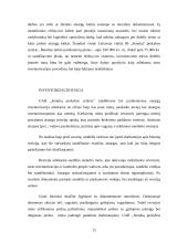 Profesinė praktika: UAB "Senukų prekybos centras" 15 puslapis