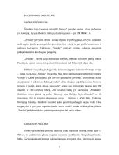 Profesinė praktika: UAB "Senukų prekybos centras" 8 puslapis