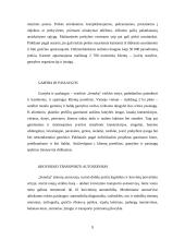 Profesinė praktika: UAB "Senukų prekybos centras" 9 puslapis