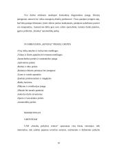 Profesinė praktika: UAB "Senukų prekybos centras" 10 puslapis