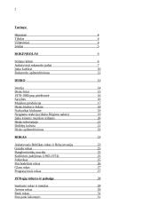 XX-ojo amžiaus jaunimo muzika ir jos įtaka kultūrai 2 puslapis